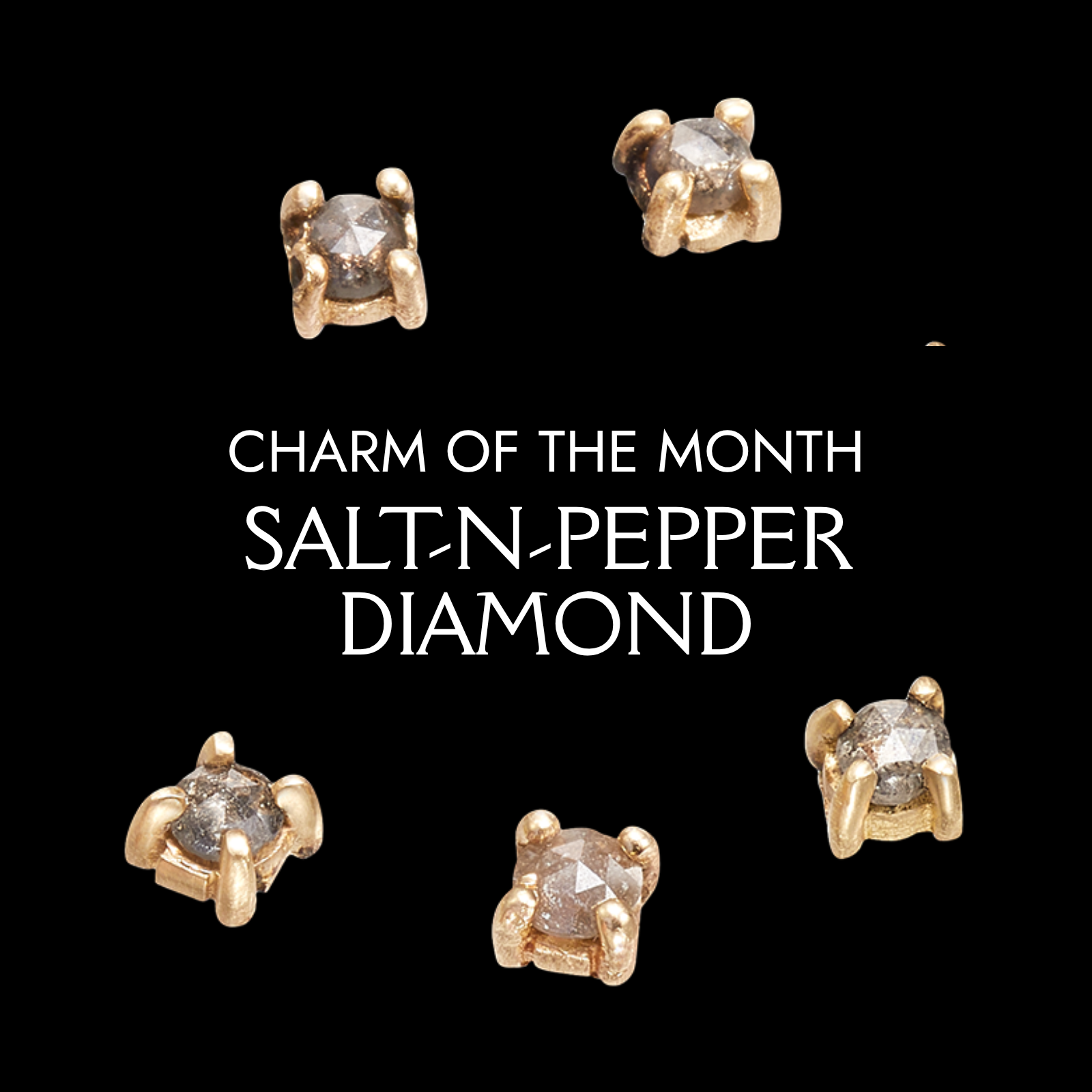 Charm of the Month: Salt & Pepper Diamond