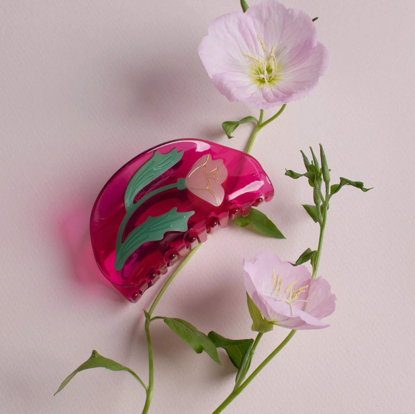 Mexican Primrose Claw