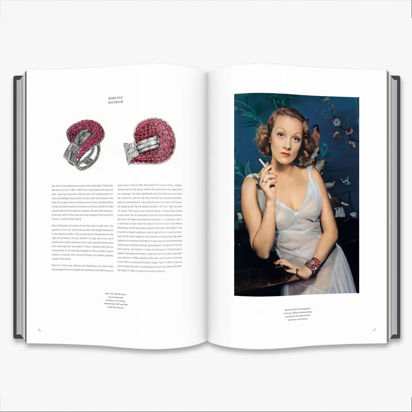 RUBY: The King of Gems Coffee Table Book