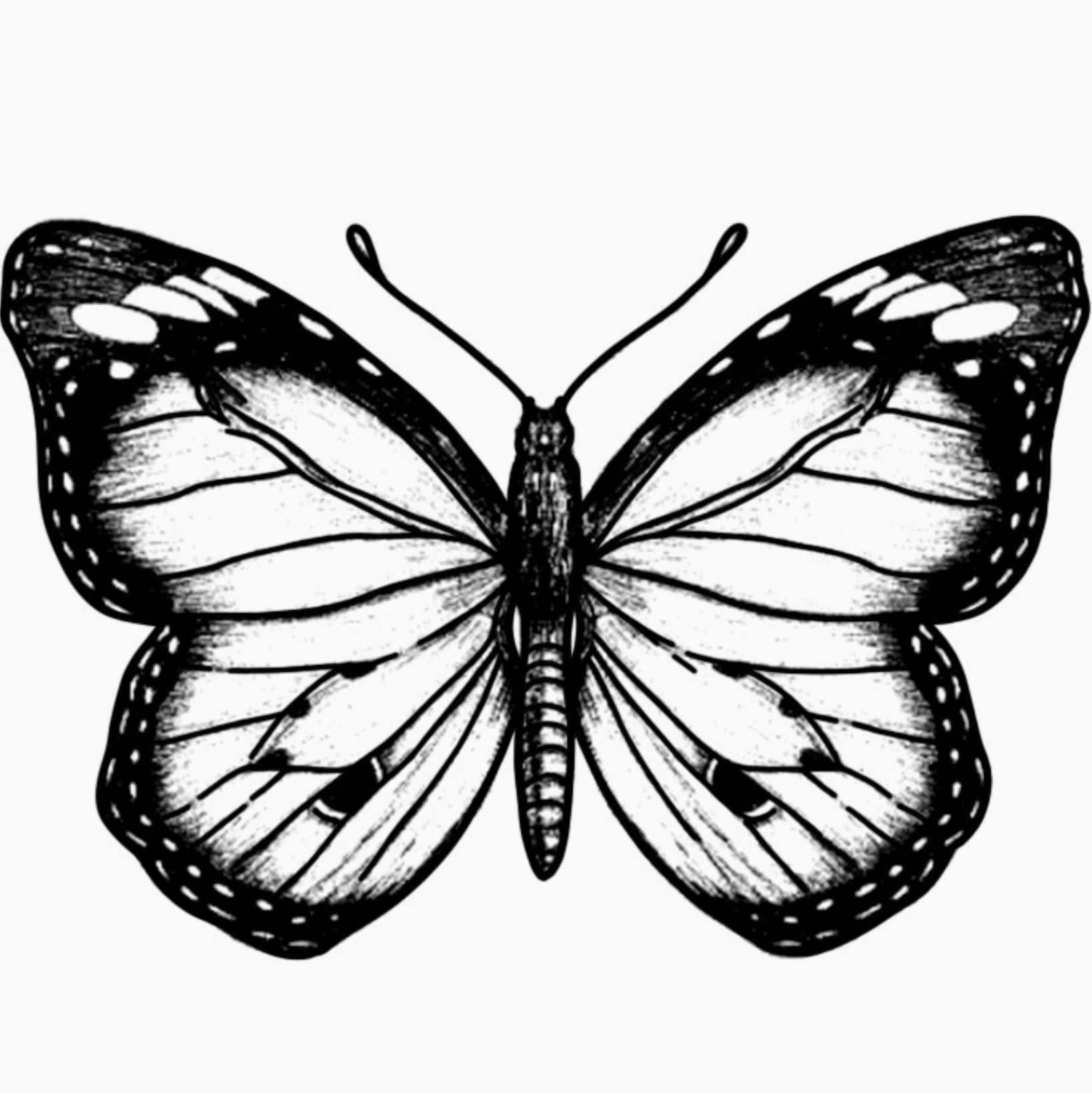 Butterfly Temporary Tattoo