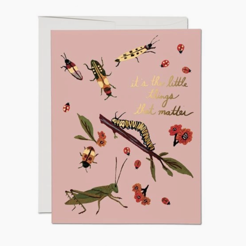 Little Bugs 'It's The Little Things' Greeting Card