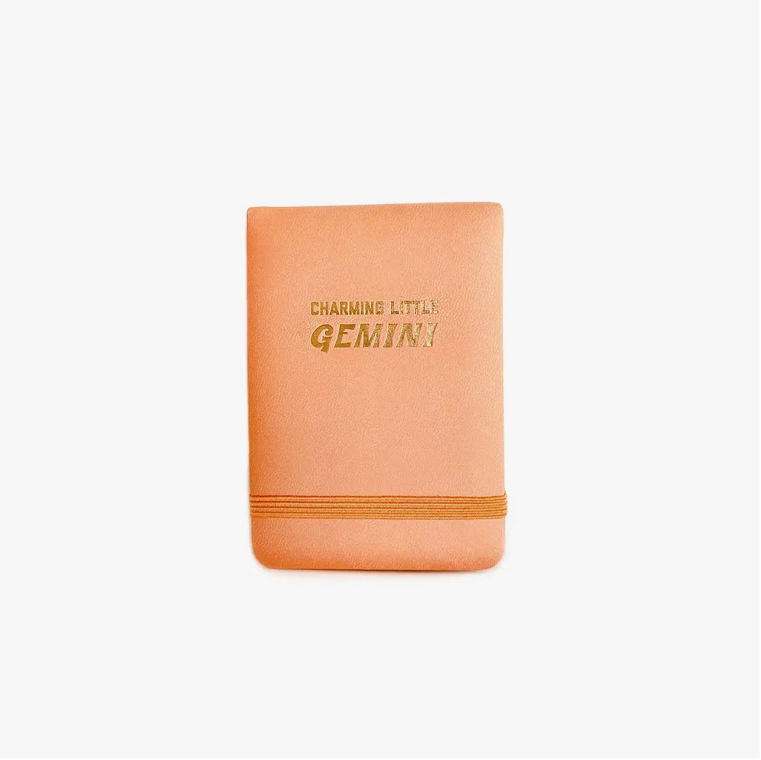 Gemini Zodiac Mini Journal