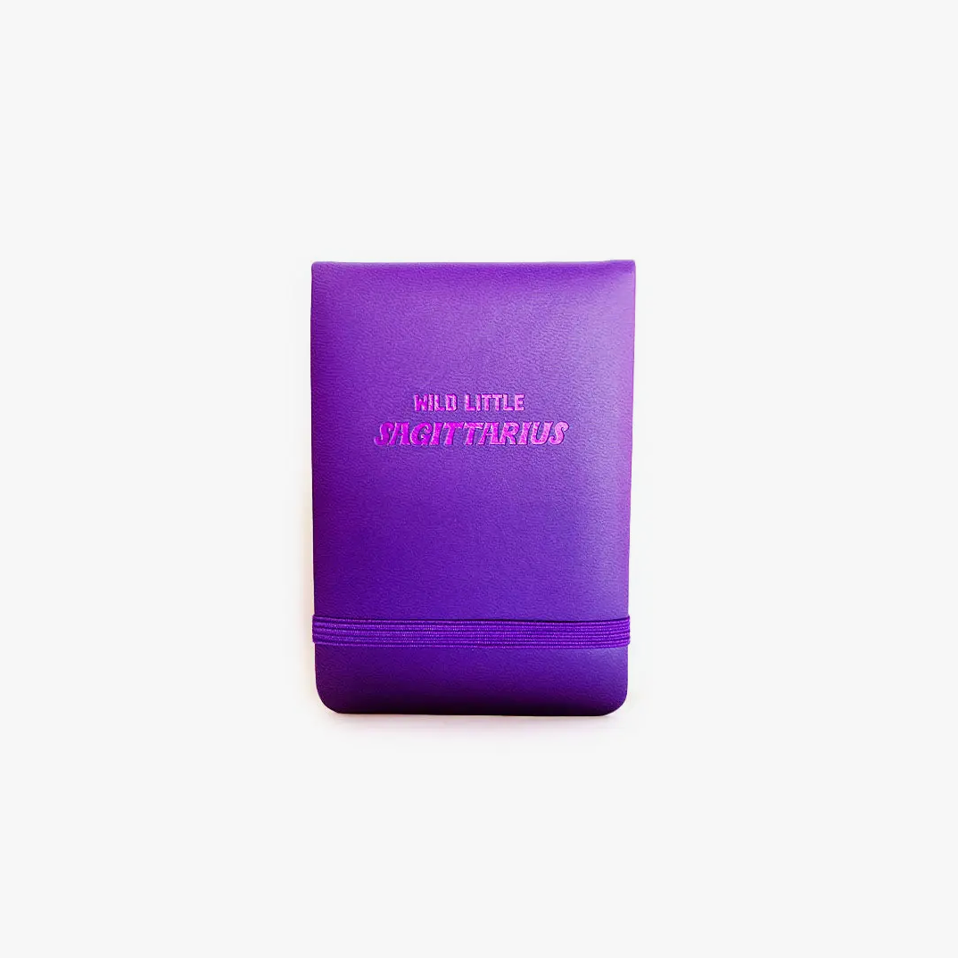 Sagittarius Zodiac Mini Journal