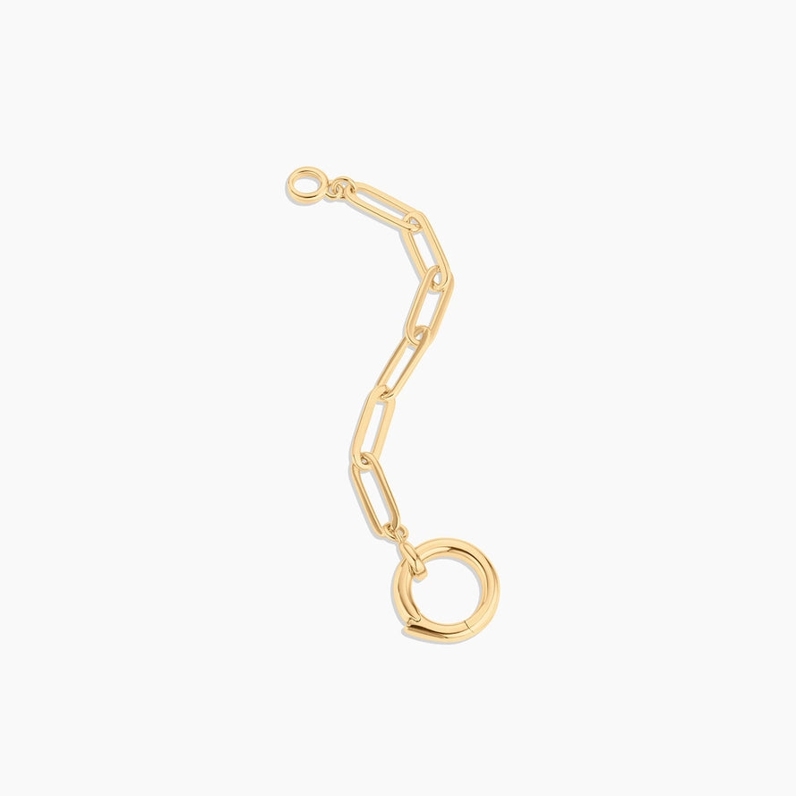 a gold paperclip chain with a ring clasp attachment on a white background