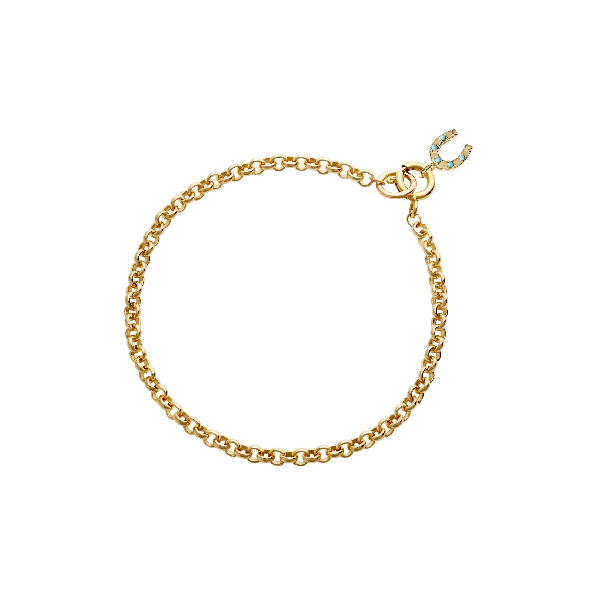 Gold chain bracelet with horsehoe charm with a clasp on a white background