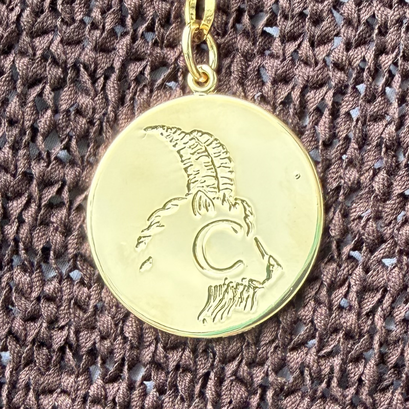 The Zodiac Coin